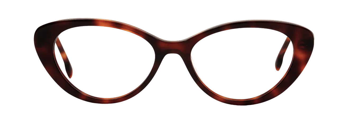 DALIA – Lunette Papillon ECAILLE FONCEE pour Homme